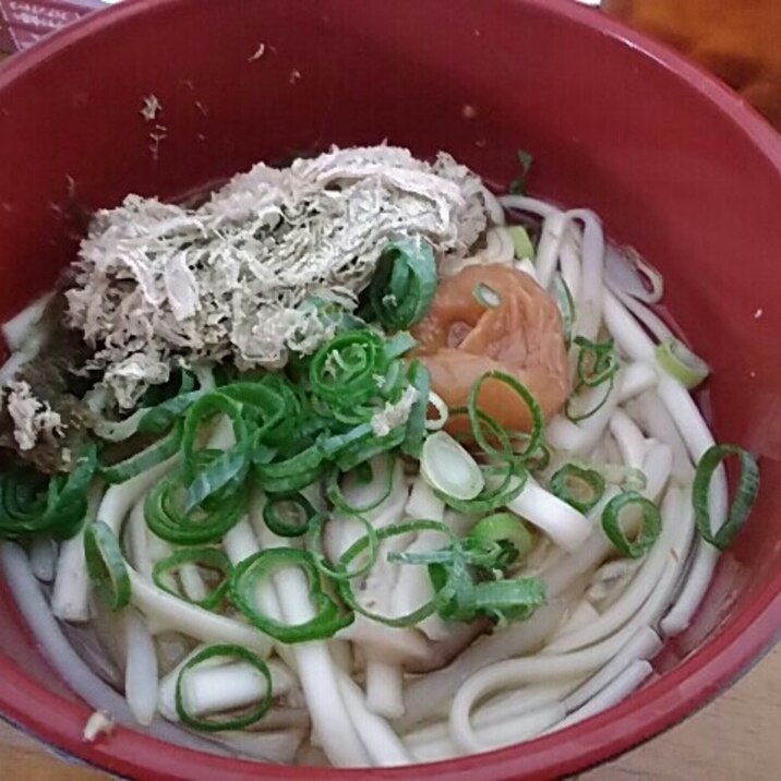 はちみつ梅干しととろろ昆布もやしうどん